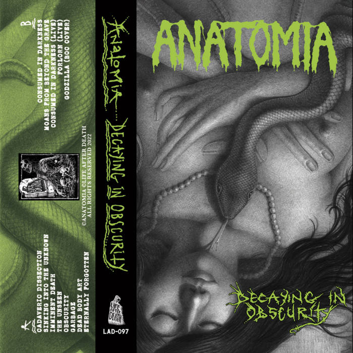 "Decaying In Obscurity" review!