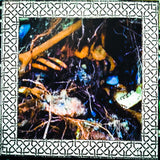 Chasmal Mire Demo CD