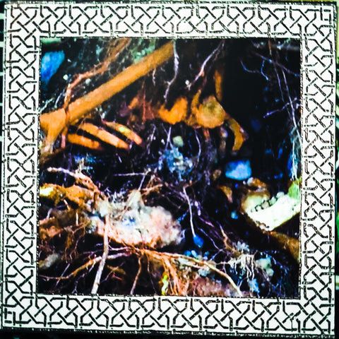 Chasmal Mire Demo CD